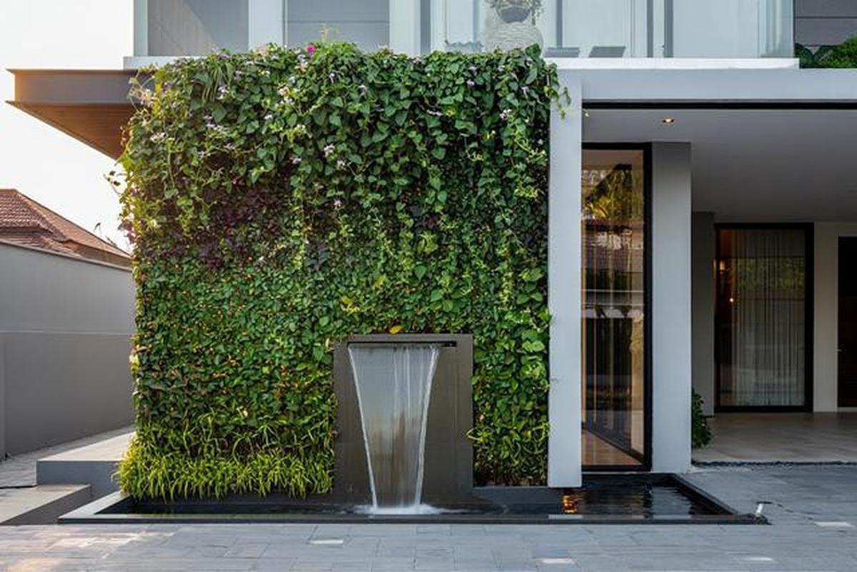 10 Model Tampak Depan Rumah Minimalis Asri dengan Tanaman Rambat, Bikin Hunian Teduh