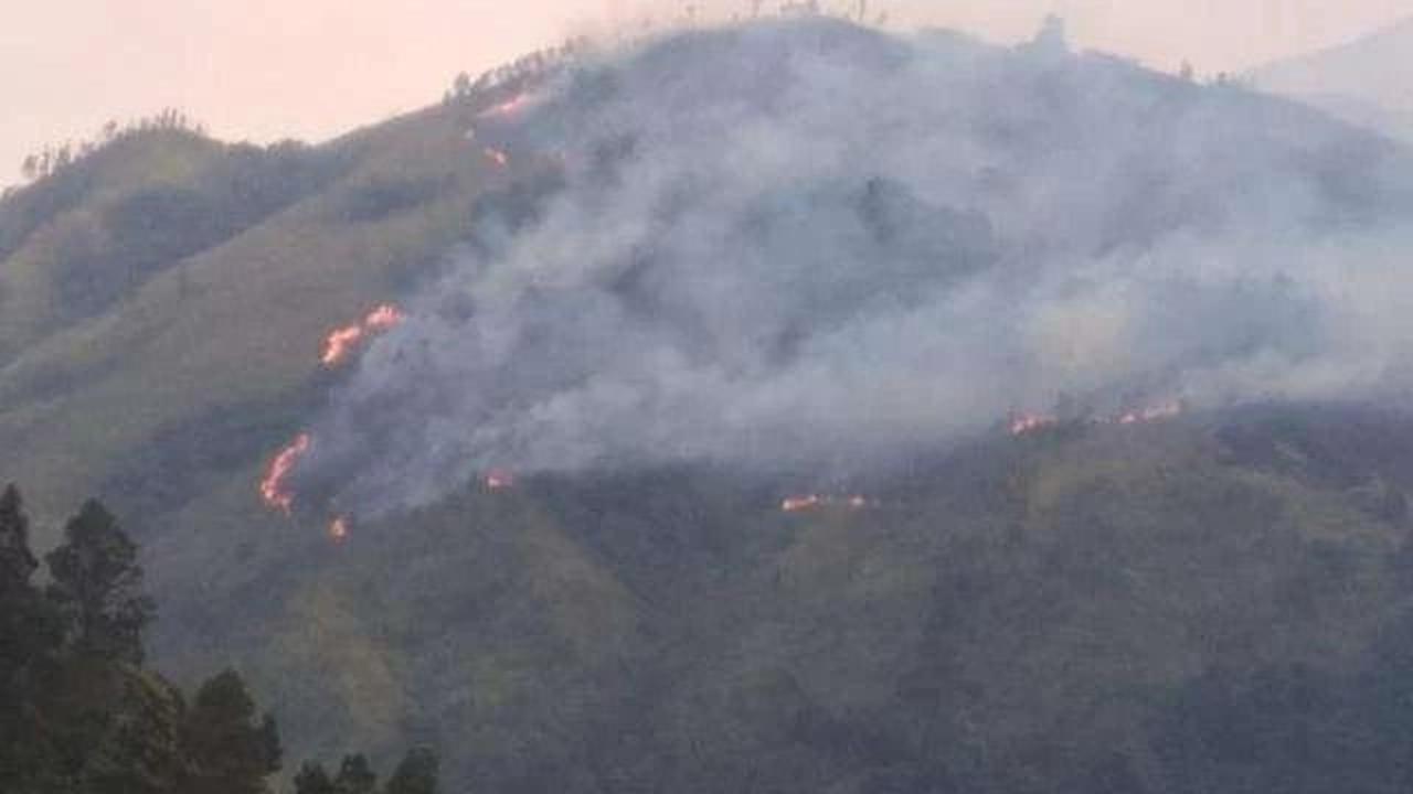 Kebakaran Gunung Arjuno-Ringgit Dekati Permukiman, BPBD Jatim Ungkap Pergerakan Api