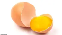 4 Telur Seminggu Aman bagi Kolesterol Anda