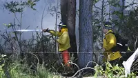 Beberapa komunitas Hawaii terpaksa mengungsi dari kebakaran hutan yang menghancurkan setidaknya dua rumah pada Selasa. (Matthew Thayer/The Maui News via AP)