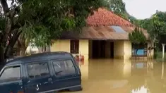 Ribuan ikan siap panen tersapu air akibat tanggul jebol di Lamongan, hingga curah hujan tinggi menyebabkan banjir di sejumlah daerah.
