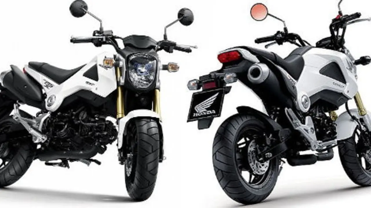 Honda MSX125 - Mini Street Xtreme