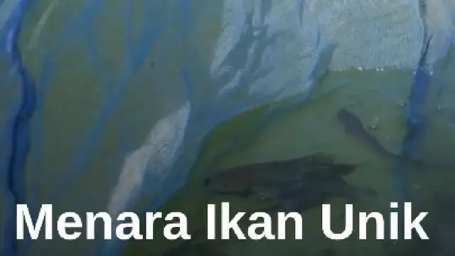 Peternak Kenya Bangun "Menara Ikan" Hemat Air #Mdkdw26