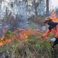Petugas BPBD Kota Batu memadamkan kebakaran hutan di Gunung Panderman secara manual pada Rabu, 22 November 2023 (BPBD Kota Batu)&nbsp;