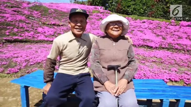 Seorang kakek di Jepang menanam ribuan bunga untuk menghibur istrinya yang buta karena diabetes.