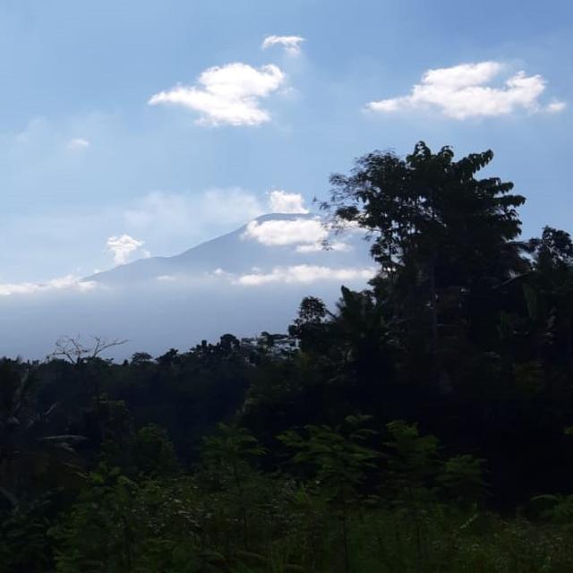 Gunung Tertinggi Di Pulau Sumatera Adalah Brainly  