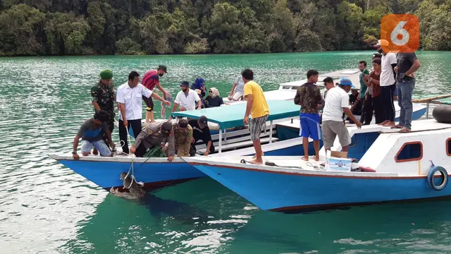 Buaya di Tempat Wisata