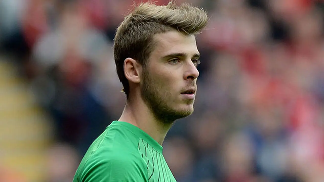 david-de-gea-140208b.jpg