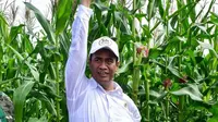 Mentan Andi Amran saat meninjau lokasi food estate berupa tanaman jagung di Kabupaten Gunung Mas, Kalimantan Tengah, Senin (11/12)/Istimewa.