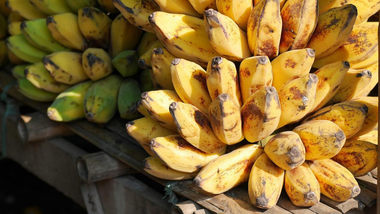Manfaat Kesehatan Pisang Matang dan Mentah: Ini Perbedaannya