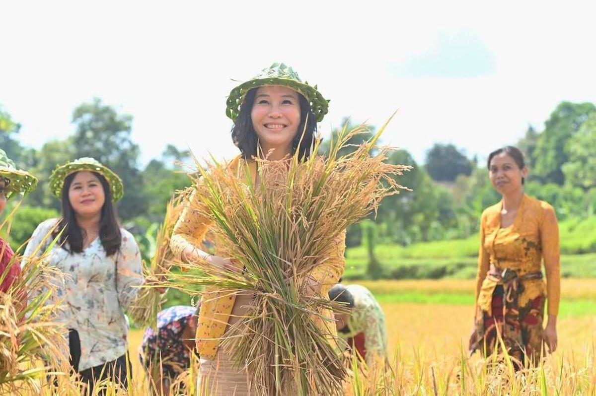 Penampilan Cantik Veronica Tan Turun ke Sawah Petik Padi, Bicara Soal Ibu Rumah Tangga jadi Sorotan