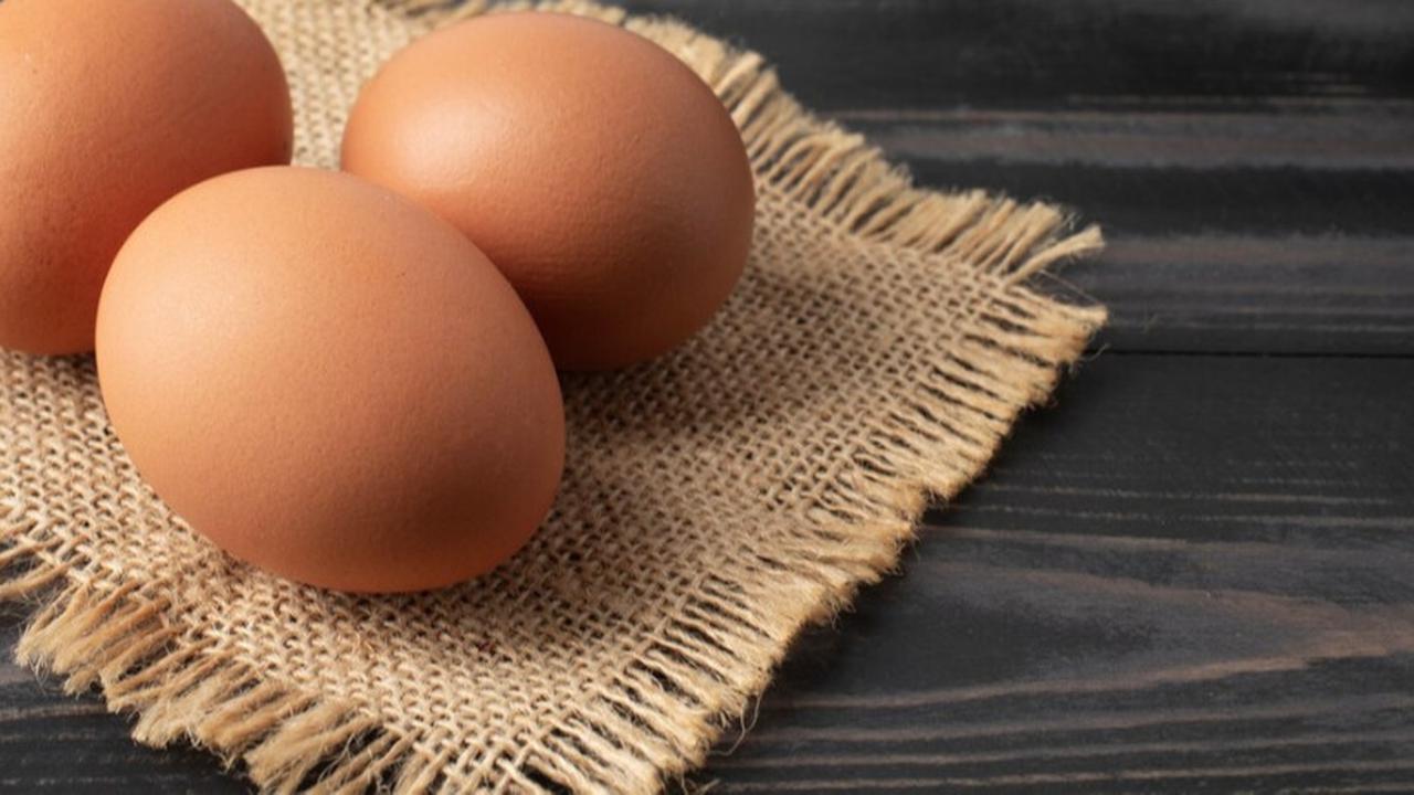 telur