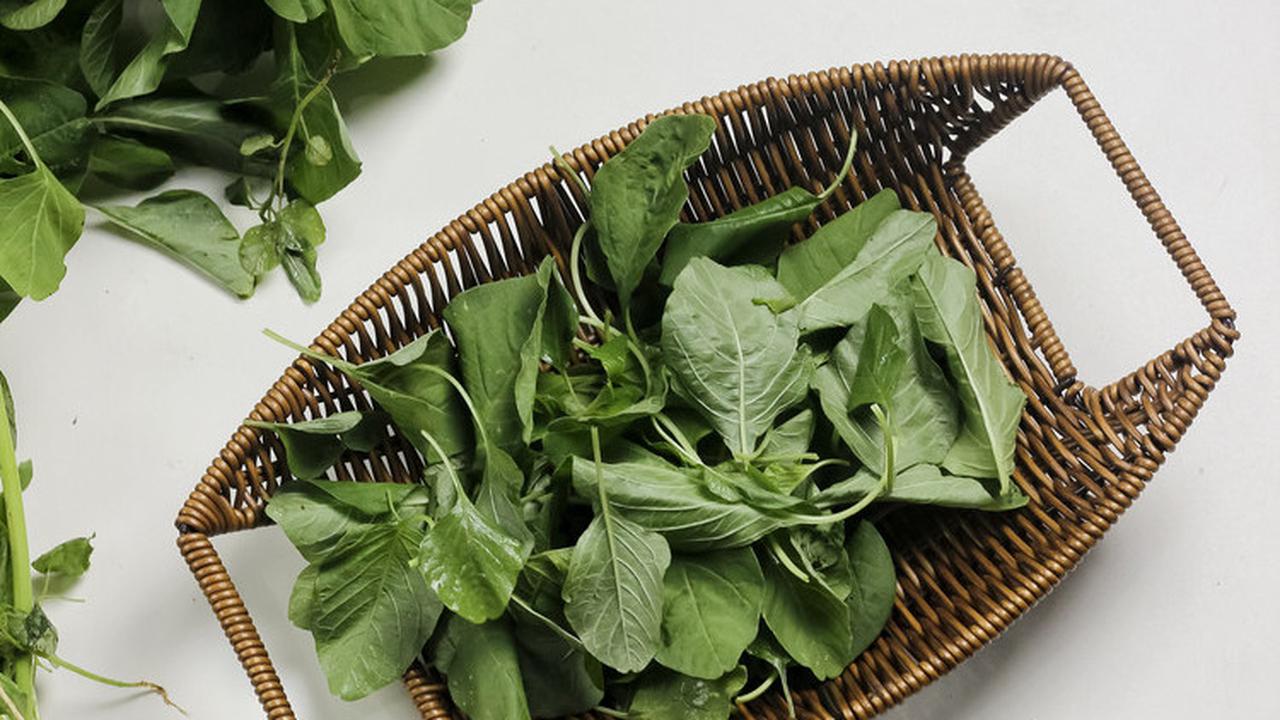sayur bayam