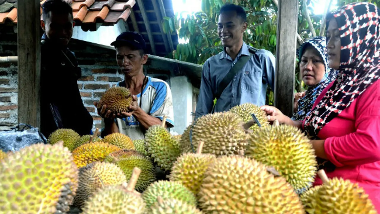 Dusun Gajian, Surga Penikmat Durian di Magelang