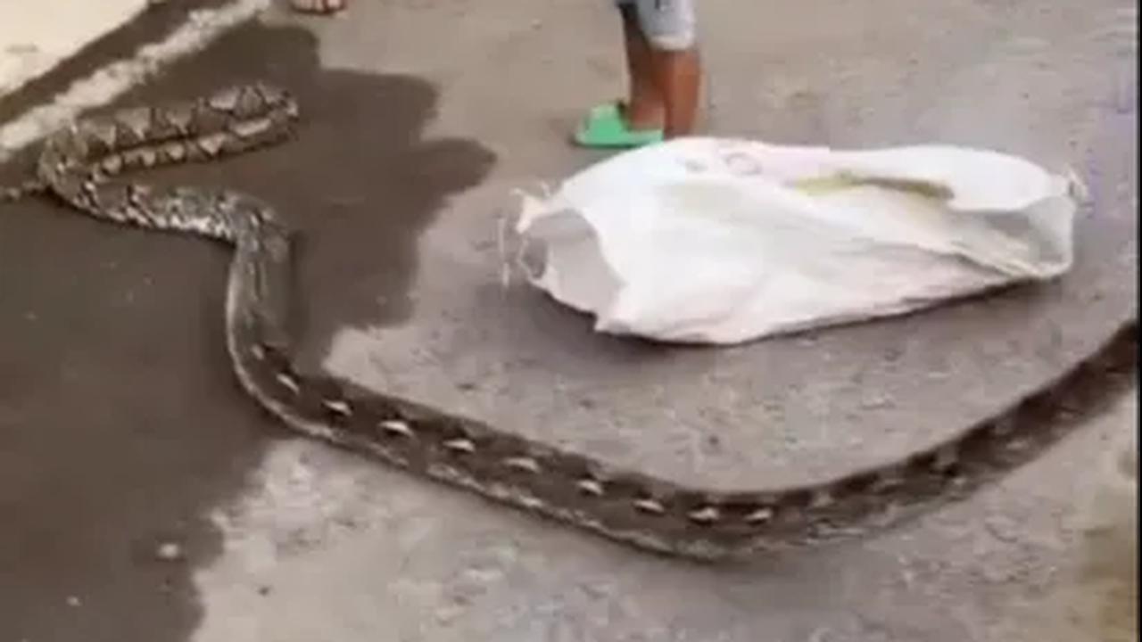 Kronologi Singkat