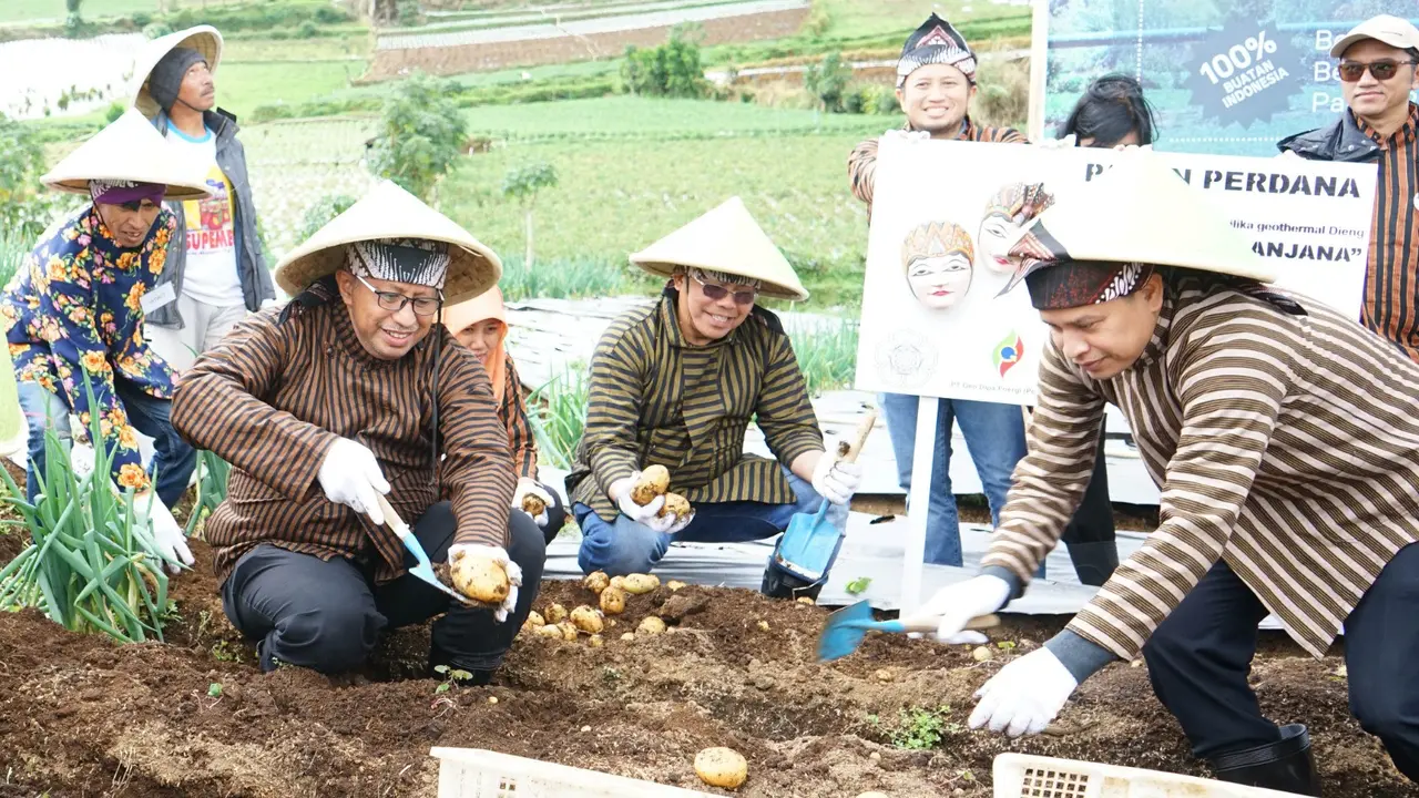 Pupuk