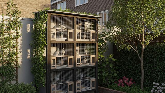 10 Desain Halaman Rumah Ada Kandang Burung Dara, Estetik dan Fungsional ...