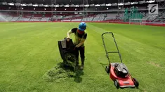 Pekerja memotong rumput Stadion Utama Gelora Bung Karno, Senayan, Jakarta, Jumat (20/10). Renovasi untuk Asian Games 2018 dengan nilai kontrak yang ditaksir mencapai Rp 769,7 miliar ini ditarget rampung pada Desember 2017. (Liputan6.com/Johan Tallo)
