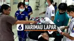 vertical harimau