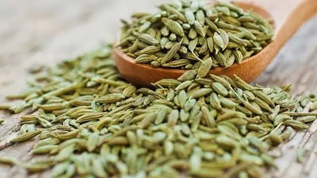 [Fimela] Fenugreek