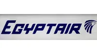 Logo EgyptAir (REUTERS/Christian Hartmann)