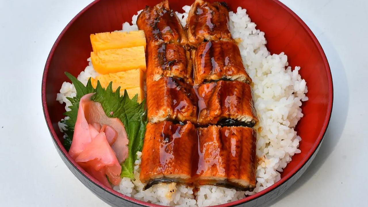 9. Ikan Sidat Mengandung Nutrisi yang Baik untuk Otak