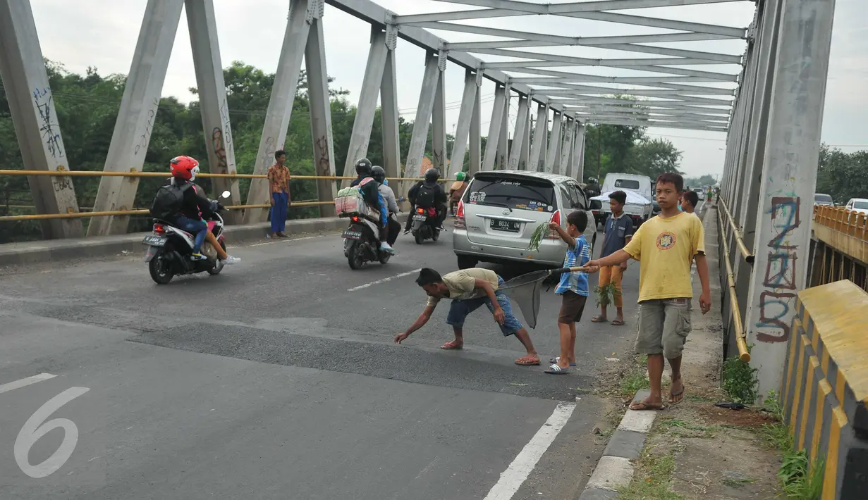 Sejumlah bocah menunggu pengendara yang melintas untuk melempar uang koin di Jembatan Cikalong, Jawa Barat, Sabtu (2/7). Memasuki mudik Lebaran, jumlah pencari uang sedekah di kawasan itu meningkat dibanding hari biasa. (Liputan6.com/Gempur M Surya)