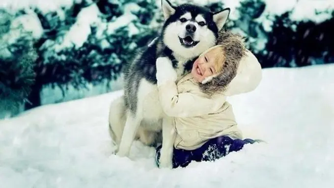 Cinta Seorang Anak pada Seekor Anjing