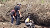 Ribuan batu bata kuno yang diduga peninggalan sejarah ditemukan di tambang galian c di Banyuwangi (Istimewa)