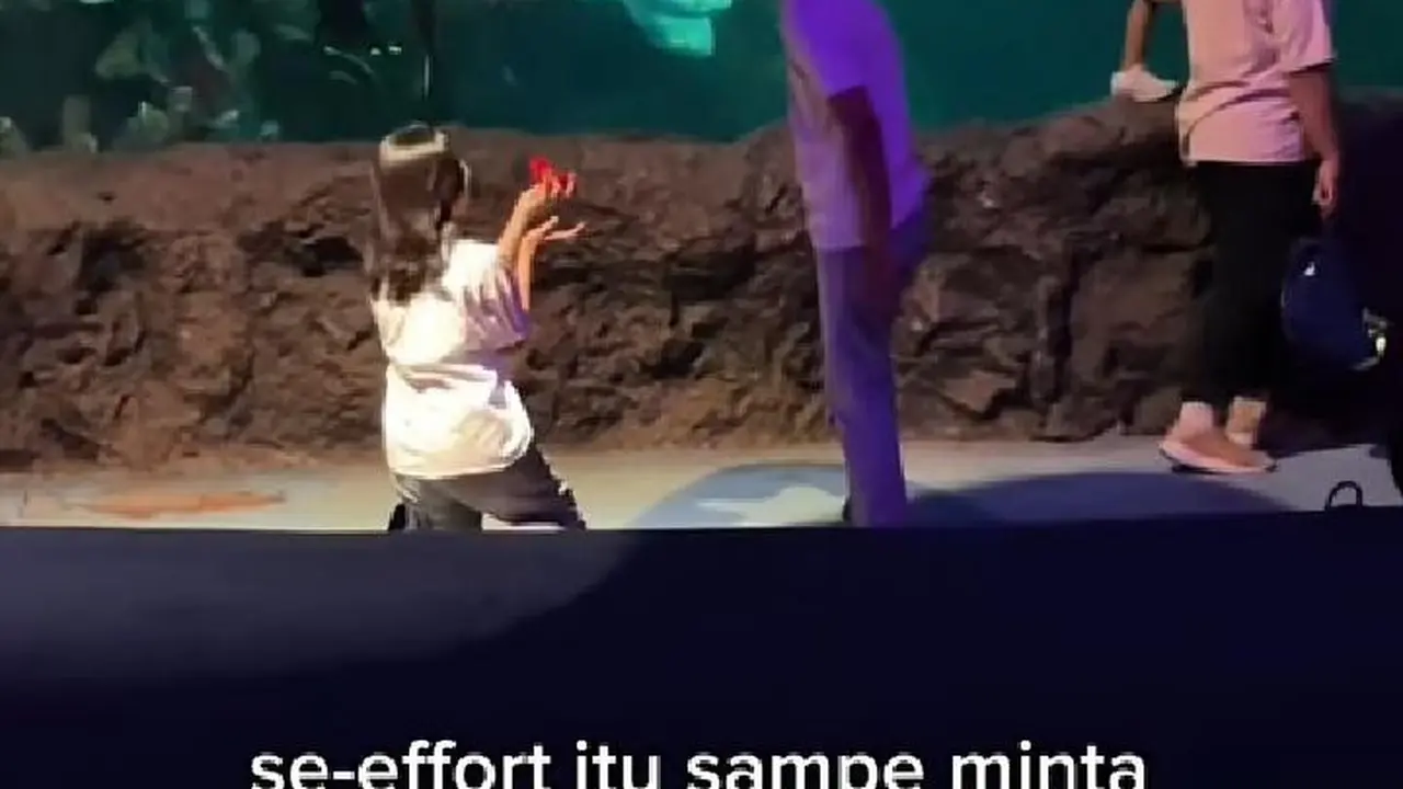 Viral di Media Sosial, Wanita Ini Lamar Pacarnya di Seaworld Jakarta