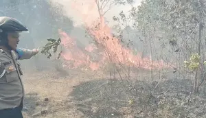 2 Hektare Taman Nasional Way Kambas Terbakar