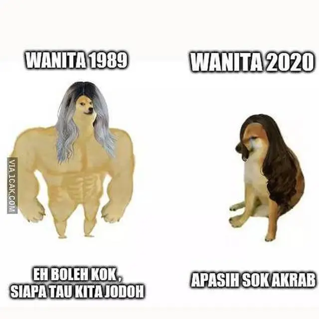 6 Meme Absurd Ajak Kenalan Ini Bikin Nyengir