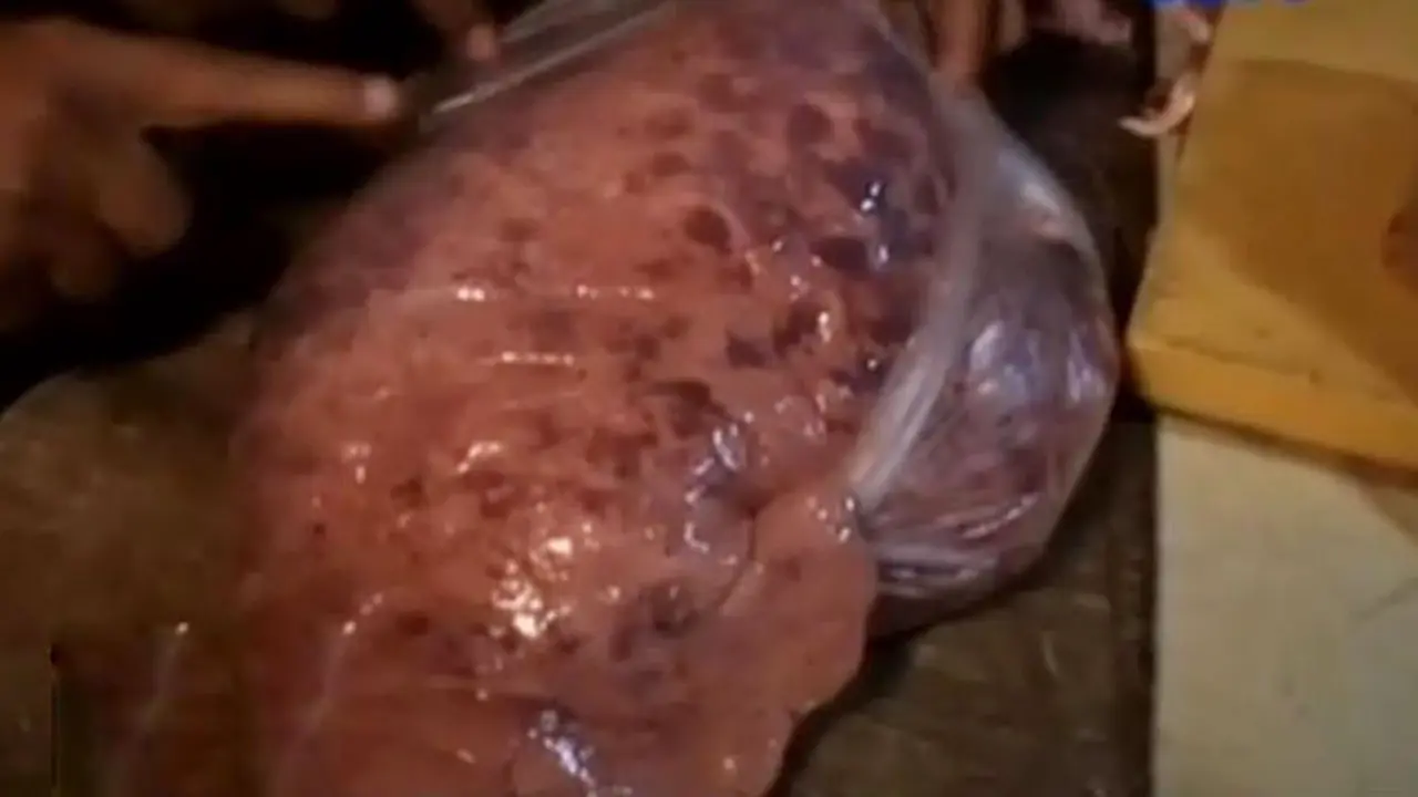 impor daging