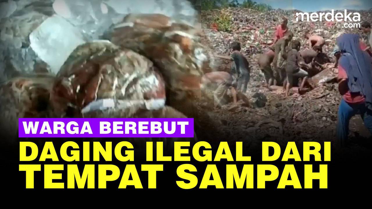 VIDEO: Warga Bengkalis Rebutan Daging Ilegal Asal India Sampai Gali Tempat Sampah