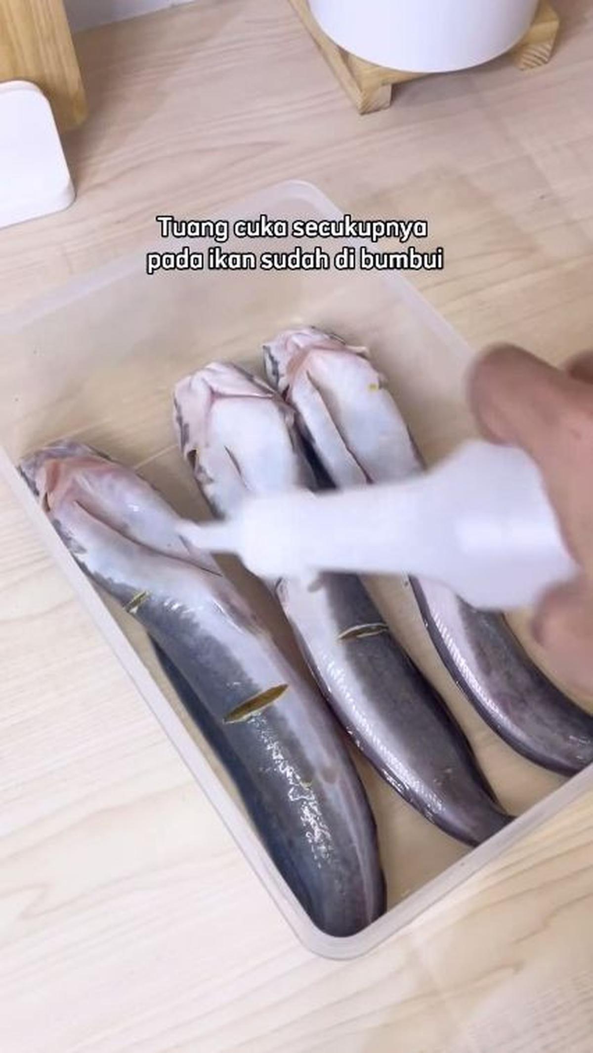 Oleskan Cuka pada Ikan Lele