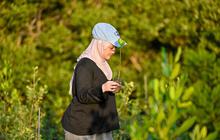 FOTO: Anak Muda Aceh Tanam Mangrove untuk Perkuat Ekosistem Pesisir