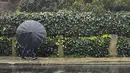 Pejalan kaki menangkis angin dan hujan di sepanjang Second Street di Sausalito, California (13/12/2021). Pengendara berputar di jalur gunung yang memutih dan penduduk menggunakan payung menghadapi angin kencang saat California Utara menyerap lebih banyak hujan dan salju. (AP Photo/Damian Dovarganes)