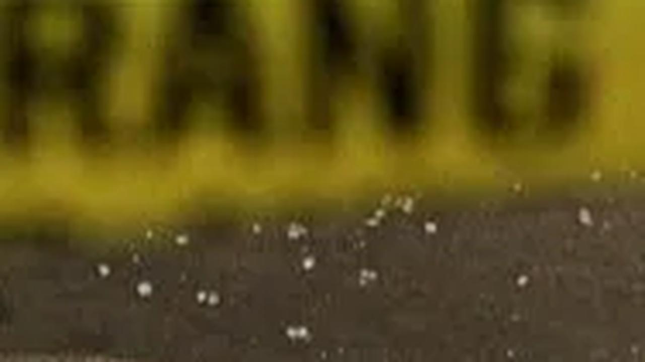 Perkara Tak Dapat Gratisan, Preman Abal-Abal Tusuk Pemuda Hingga Tewas