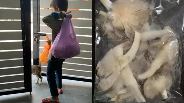 Kisah Haru Bocah 11 Tahun Bolos Sekolah untuk Jualan Jamur, Demi Bantu Keluarga