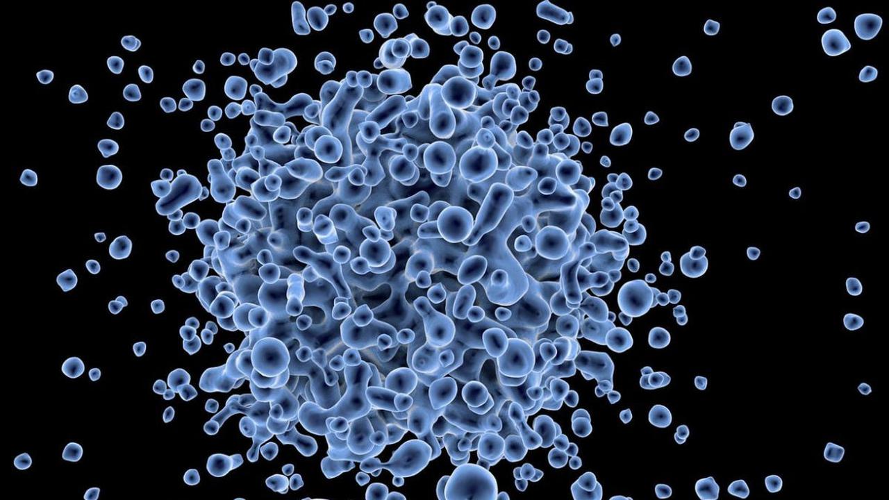 Cara Penularan Meningitis