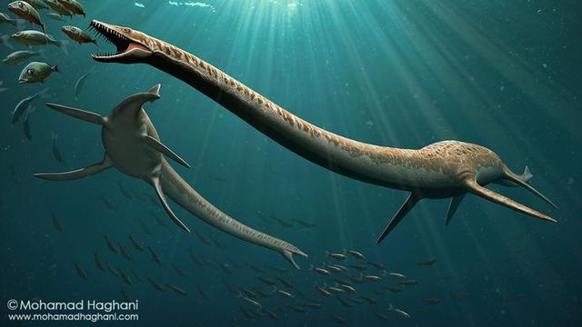 Ilustrasi Dinocephalosaurus