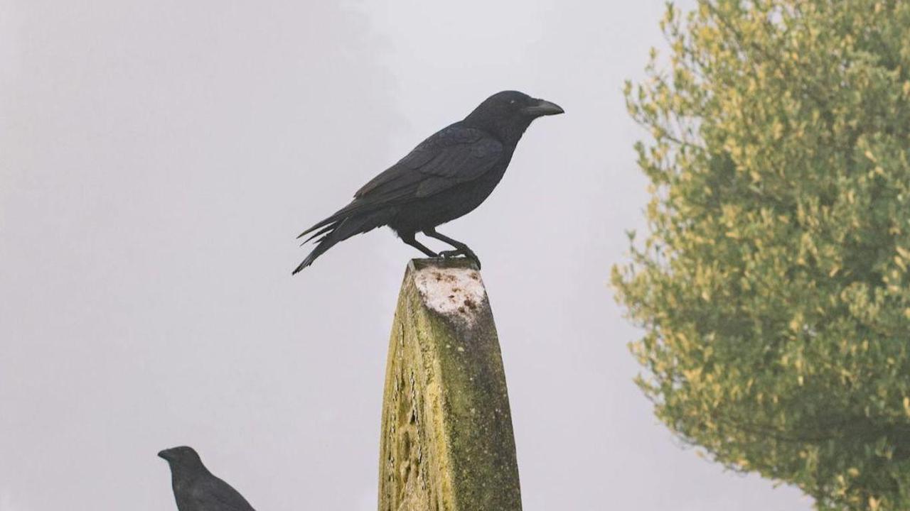 6 Haunted Places in Scotland for Your Ghost Tour Scavenger Hunt