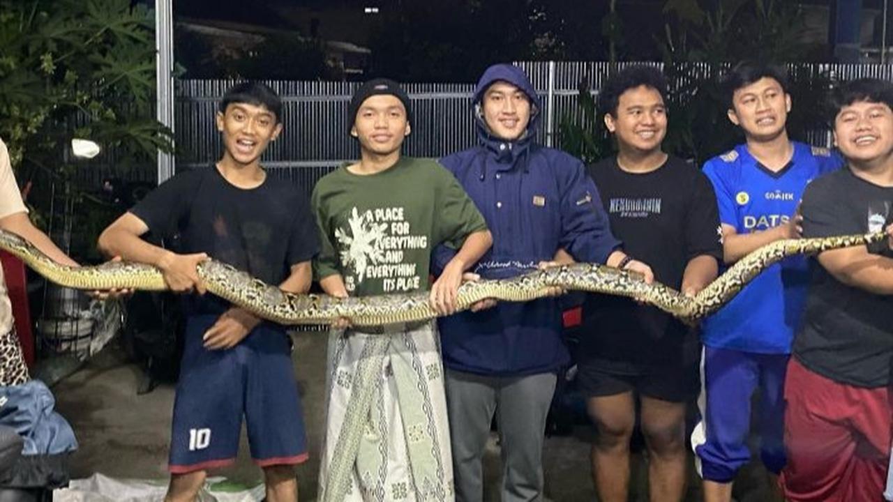 10 Cara Mudah Mengusir Ular dari Rumah dan Tenda di Hutan, Ternyata Mudah Tak Bahaya