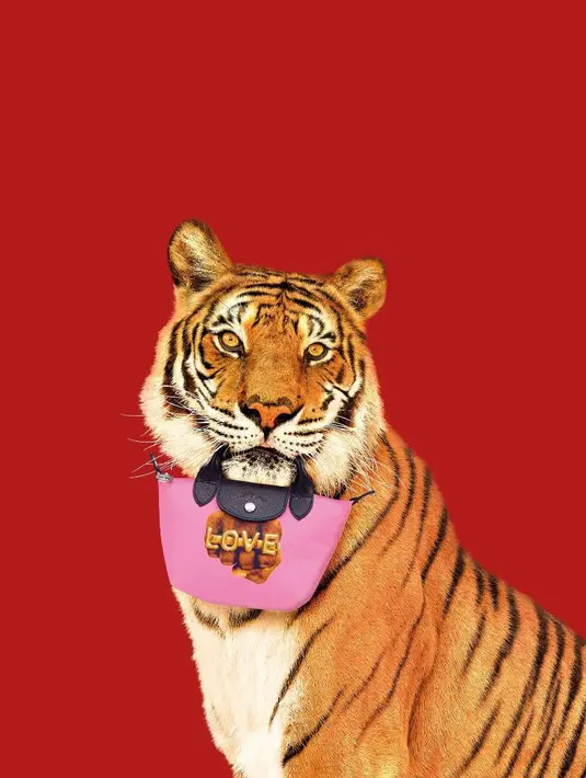 Mahakarya Maurizio Cattelan dan Pierpaolo Ferrari begitu unik. Perpaduan kreatifitas keduanya telah menghiasi tas lipat ikonik dengan desain gambar asli
untuk menjadi pusat perhatian yang wajib dikoleksi. / Foto dok LONGCHAMP.