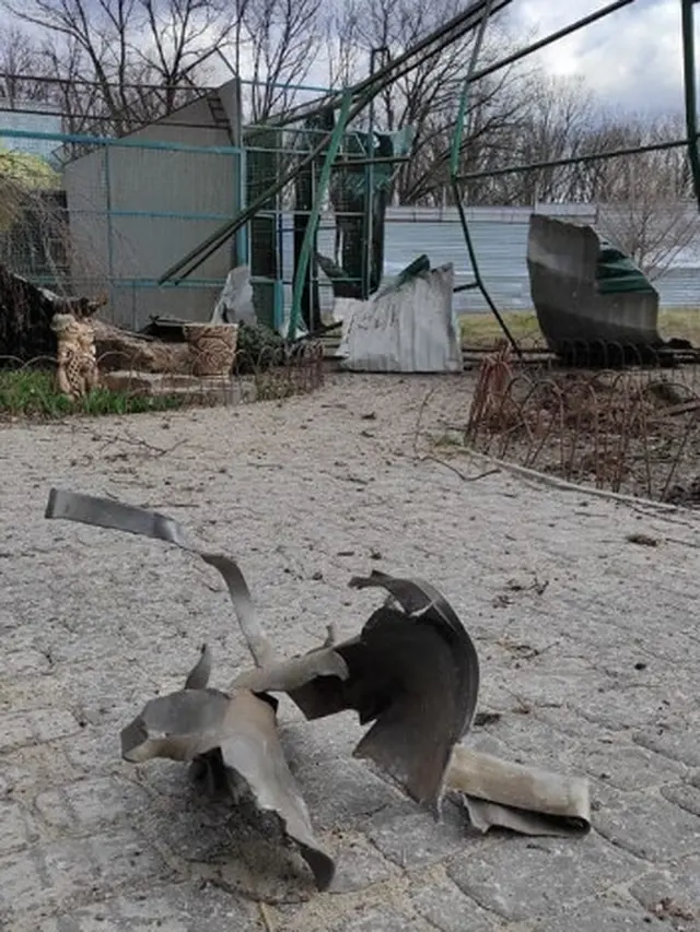 Kebun Binatang Ukraina Sebut Karyawan yang Sempat Hilang Telah Meninggal Dunia