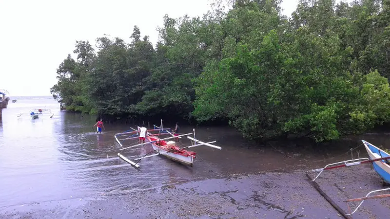 Mangrove Bahowo