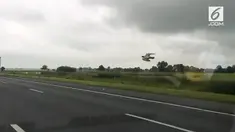 Seekor burung merpati terbang dengan kecepatan 100 km/jam di sebuah jalan tol. Burung ini bahkan mampu melewati banyak mobil yang melintas.