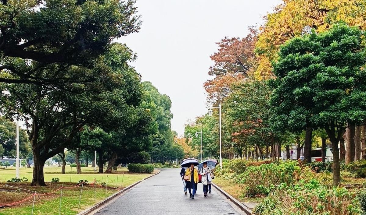 1. Jika Anda suka hijau-hijauan, Yamashita Park adalah tempat yang cocok untuk bersantai atau piknik.