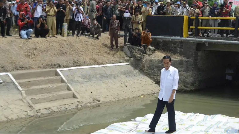 Disaksikan Ribuan Warga, Presiden Jokowi Panen Padi di Sulses