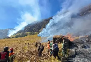 Kebakaran hutan dan lahan (karhutla) yang melanda kawasan Taman Nasional Bromo Tengger Semeru (TNBTS). (Foto: Istimewa).